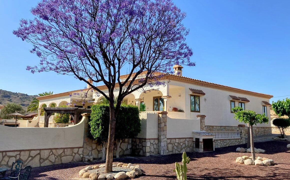 The beauty of the jacaranda mimosifolia tree, at 'Vista Serrana. Sun' 7th May 2023.
