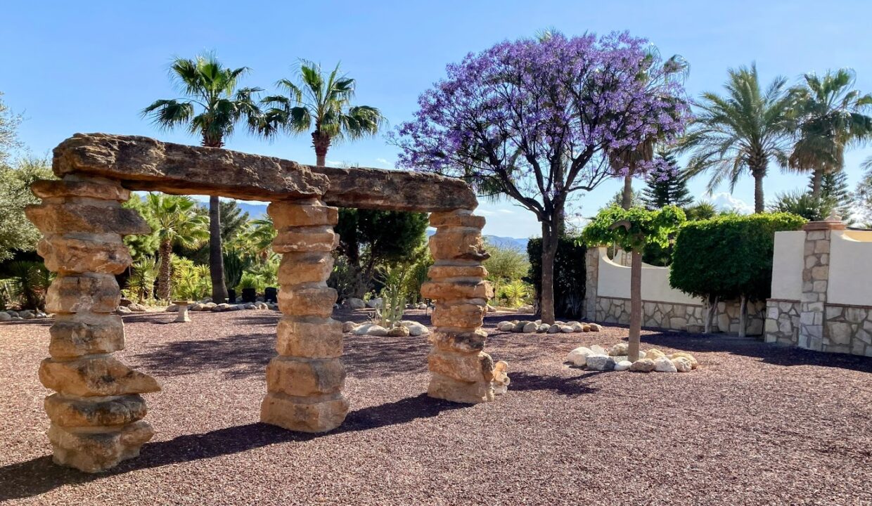 The beauty of the jacaranda mimosifolia tree, at 'Vista Serrana. Sunday 7th May 2023.