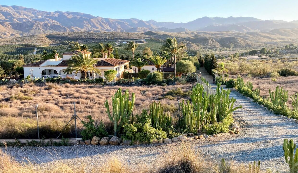 Vista Serrana, [Canada de la Piedra, Los Gallardos], at 19.16 hrs, on Thursday 26th September 2024